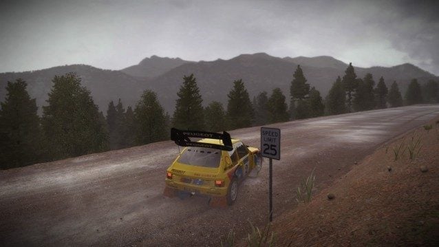 Dirt Rally 2.0 - Try these controller settings for excellent car control 