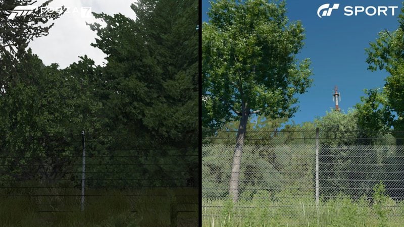 Trees-800x450.jpg